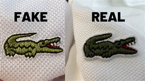 lacoste polo counterfeit vs real